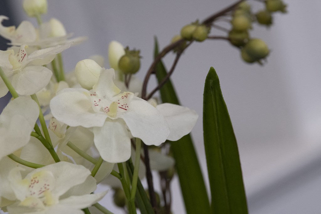 a bunch of white flowers in a vase