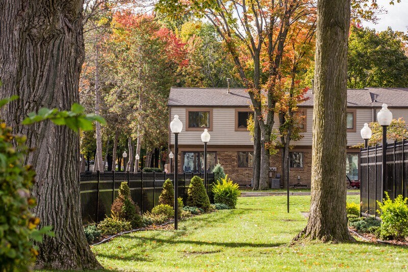 Trees at Forest Glen, Midland, 48642