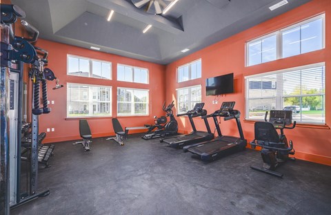 A gym with treadmills, weights, and windows.
