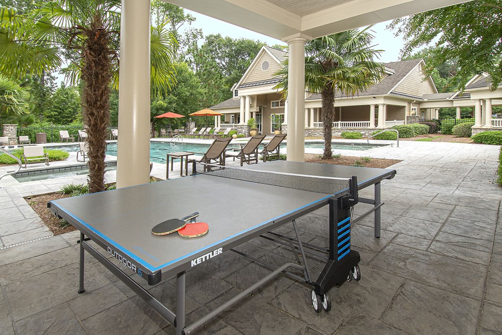 greystone falls ping pong table