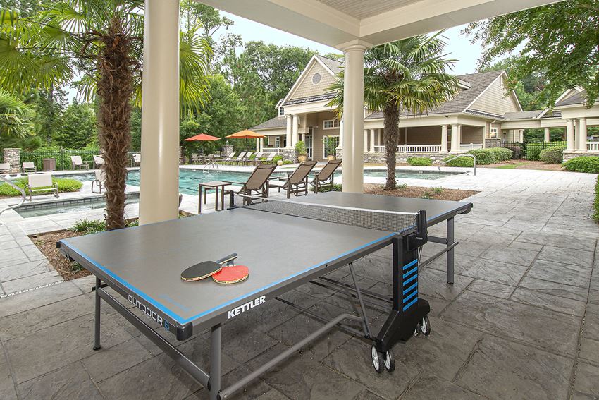 greystone falls ping pong table - Photo Gallery