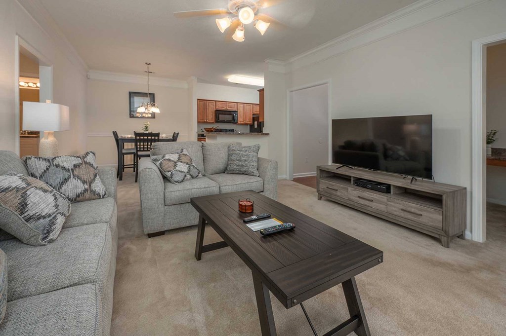 A living room with a grey couch, a coffee table, and a television.