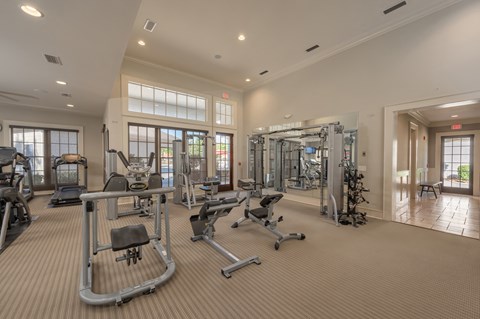 A spacious gym with a variety of equipment.
