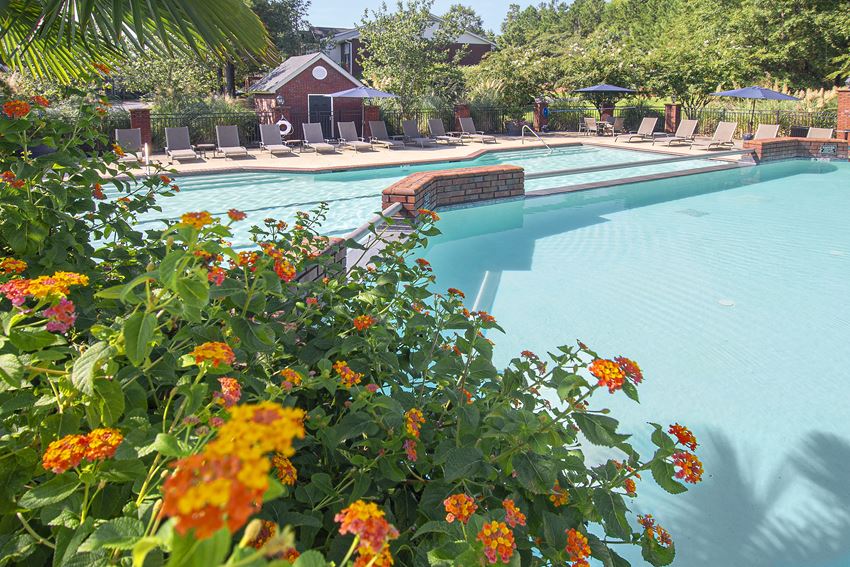 greystone pool