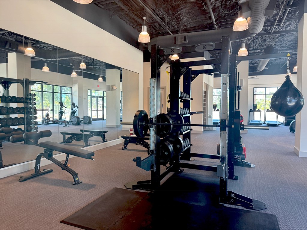 A gym with a variety of equipment including a squat rack, bench, and weights.