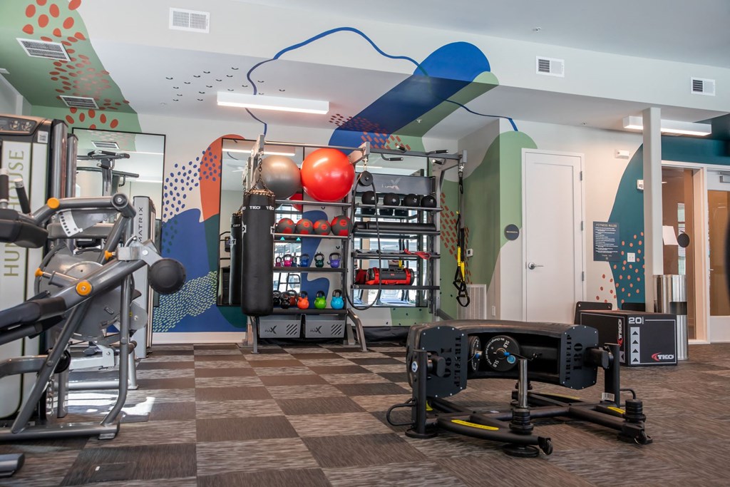 A gym with a variety of equipment including a treadmill, a stationary bike, a rowing machine, and a weight rack.