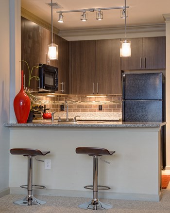 500 South Lasalle Street Studio-2 Beds Apartment for Rent - Photo Gallery 6