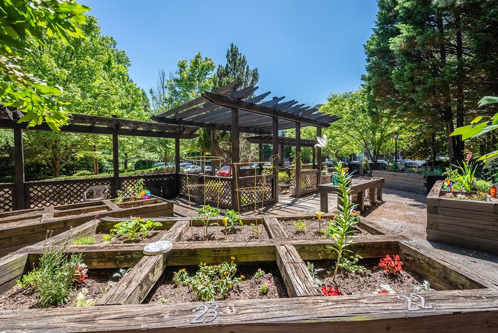 a community garden with wooden planters and a pergola