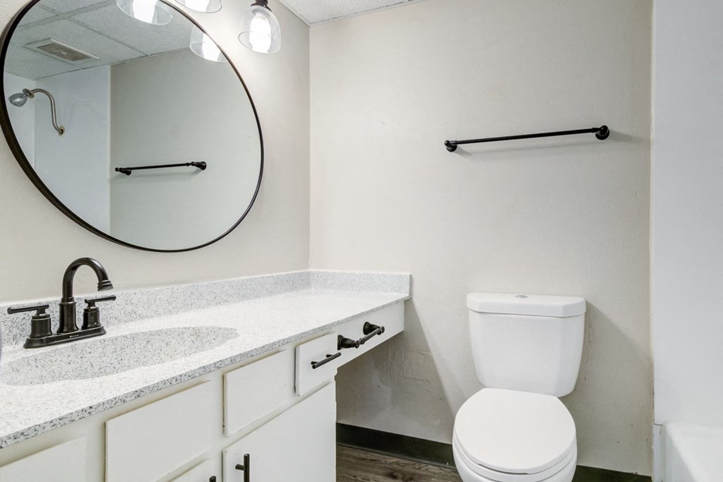a bathroom with a toilet and a sink and a mirror