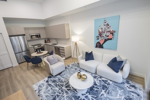 A modern living room with a white couch and a blue and white patterned rug.