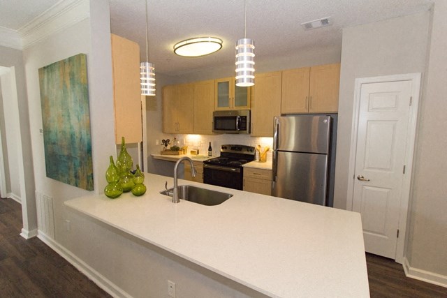 Apartment Home Kitchen