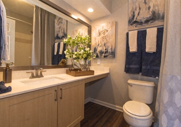 Apartment Home Bathroom