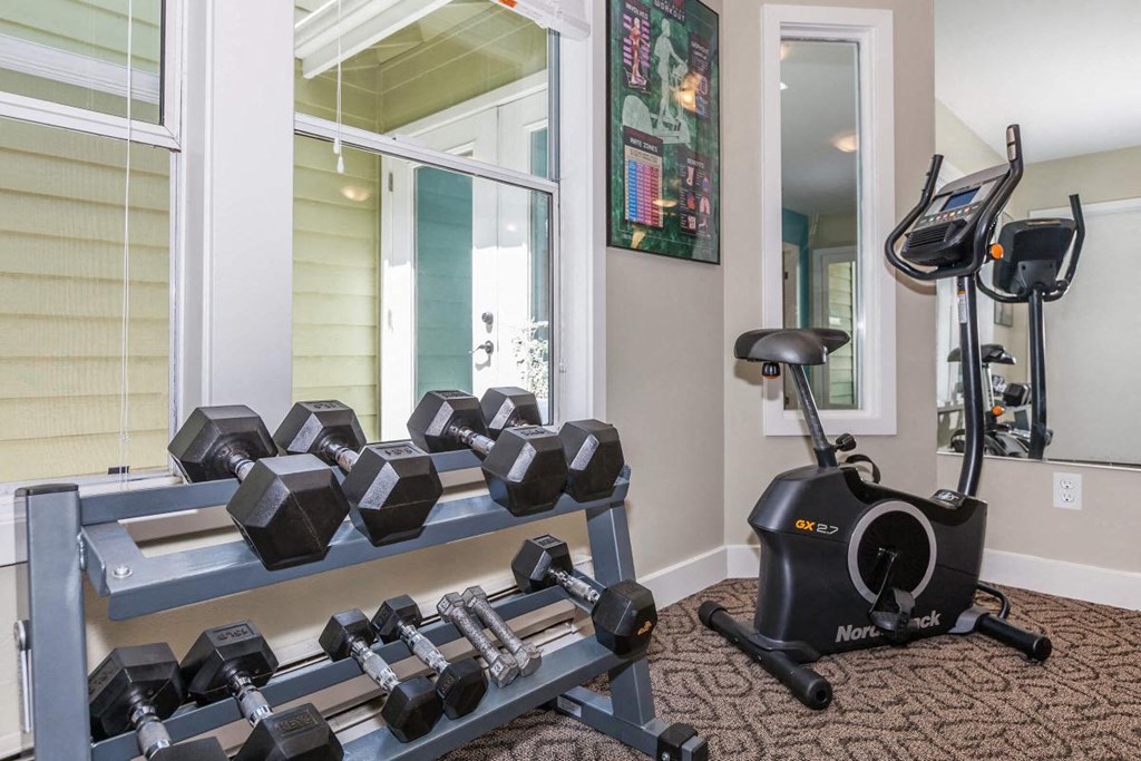 our apartments have a gym with a treadmill and weights