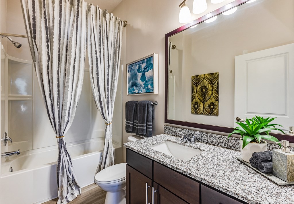 a bathroom with a mirror and a sink and a toilet