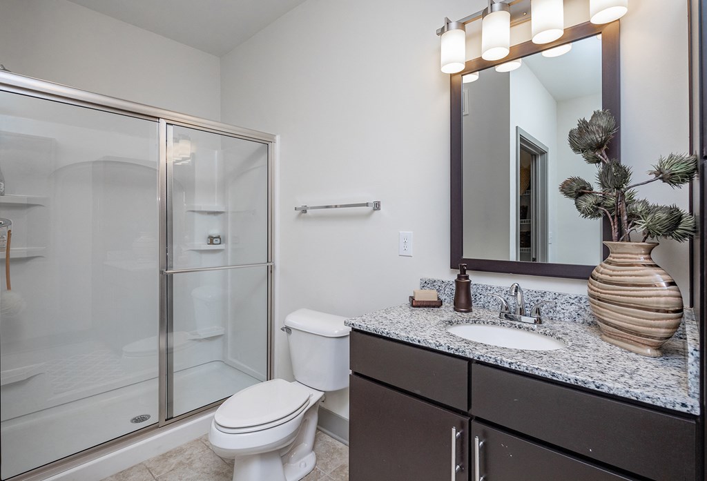 a bathroom with a shower sink and toilet and a mirror