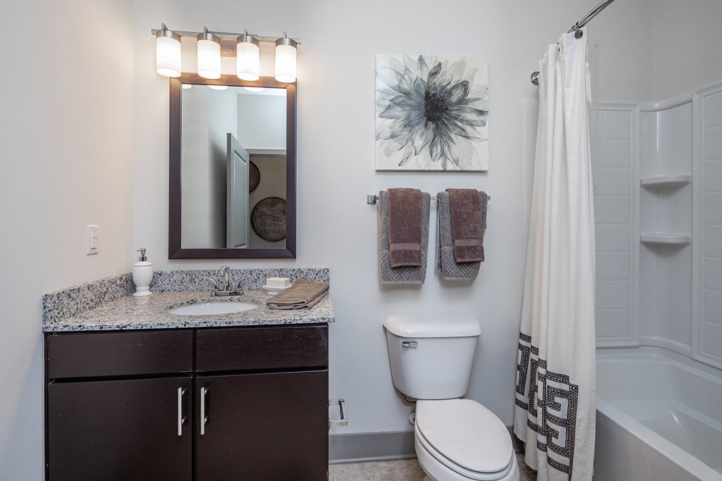 a bathroom with a sink and a toilet and a shower