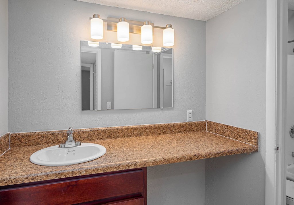 a bathroom with a sink and a mirror