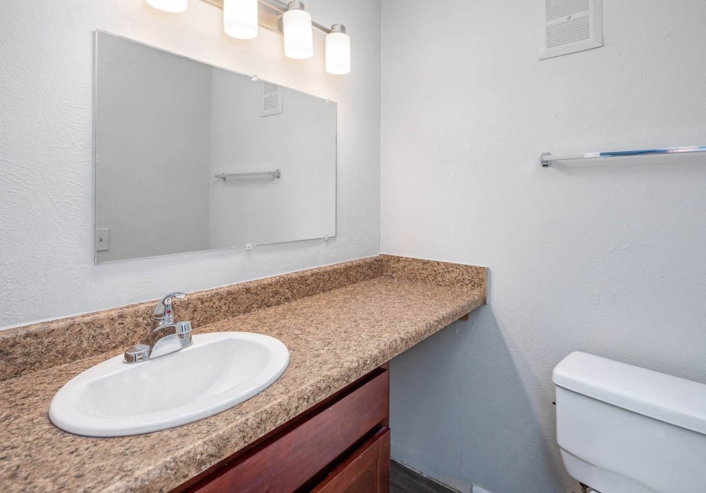 a bathroom with a sink and a toilet