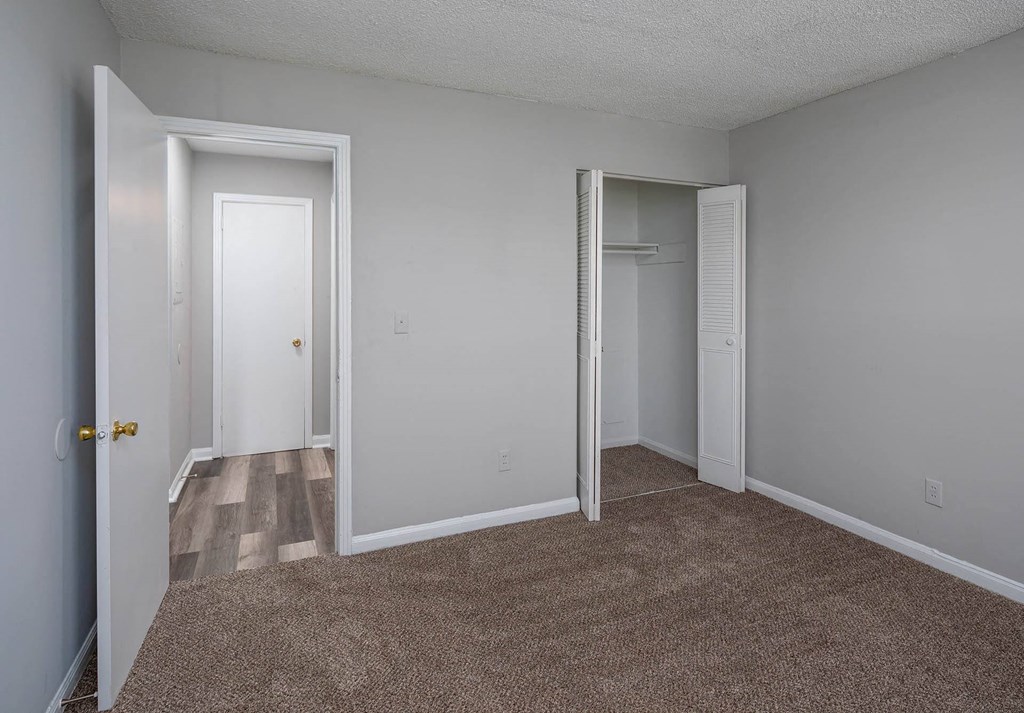 a bedroom with gray walls and a carpeted floor