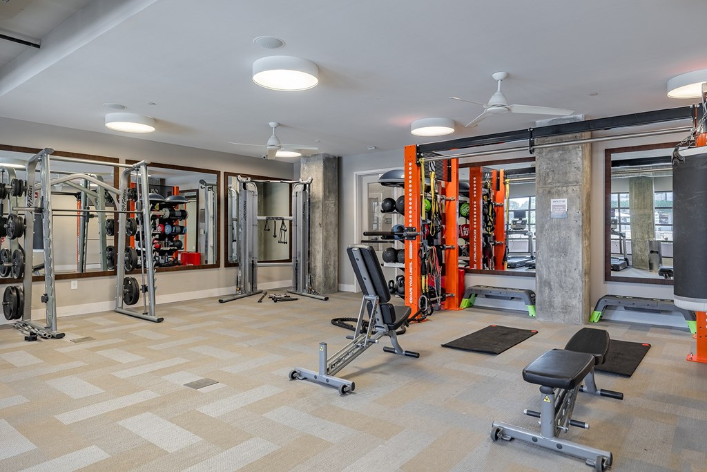 A well-equipped gym with a variety of exercise machines and weights.