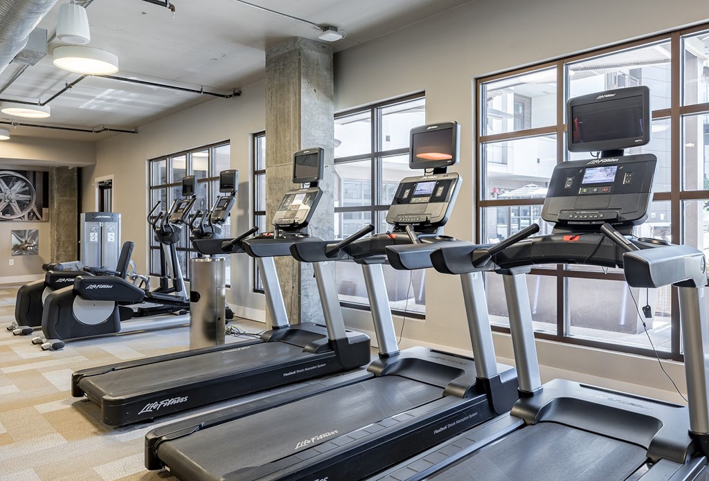 A gym with treadmills and elliptical machines.