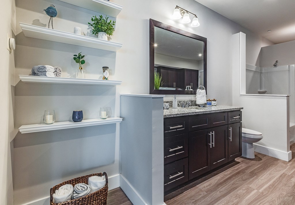 a bathroom with a vanity and a toilet and a mirror