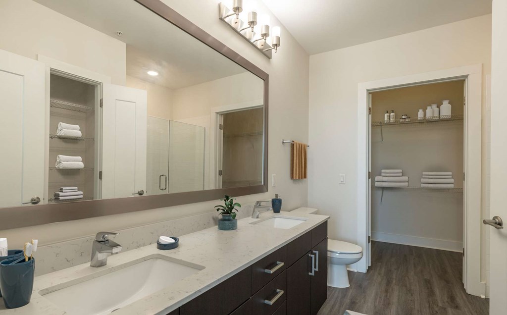 A bathroom with a white toilet and a sink with a mirror above it.