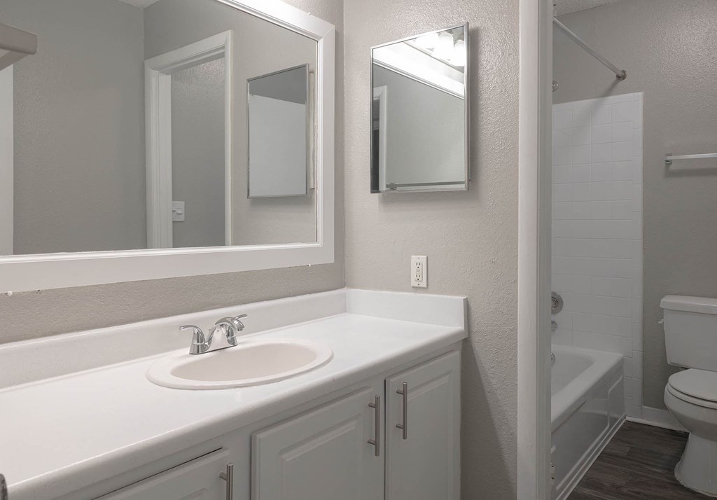 a bathroom with a sink and a toilet