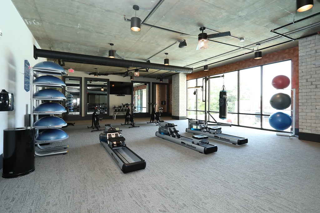 Duluth, GA Pet-Friendly Apartments - District at Duluth - Fitness Center with Carpeted Floor, Rowing Machines, Exercise Balls, Stationary Bikes, Free Weights, Expansive Mirrors, and Window Wall.