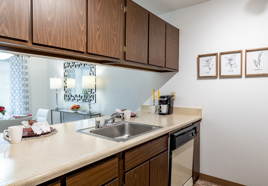 a kitchen with a sink and a dishwasher  at Pheasant Run, Saginaw, MI, 48638