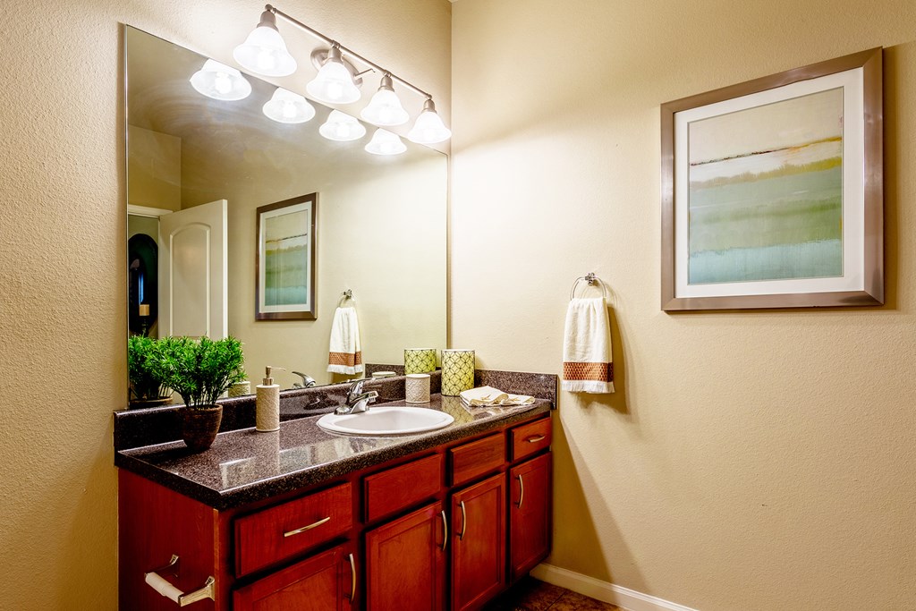 a bathroom with a sink and a mirror