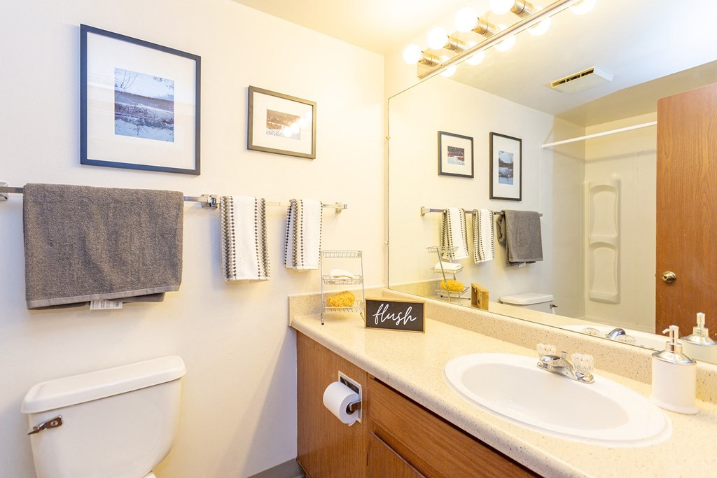a bathroom with a toilet sink and mirror at Winchell Way Apartment , Kalamazoo, Michigan