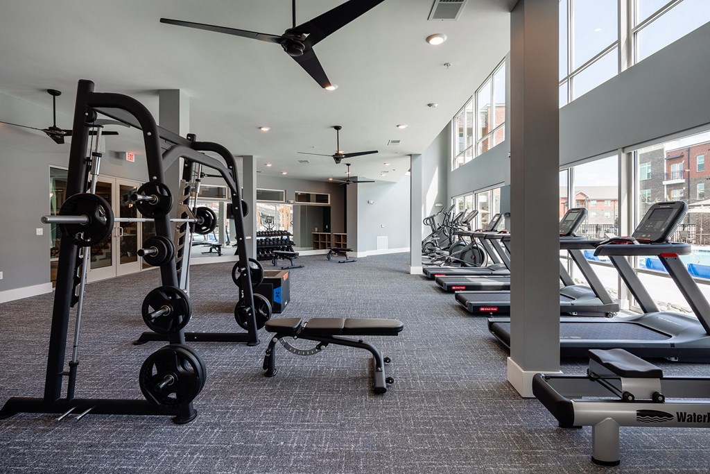 Pet-Friendly Apartments in Mt. Juliet - The Enclave - Fitness Center with Carpeted Floor, Treadmills, Free Weights, Ceiling Fans, and Large Windows