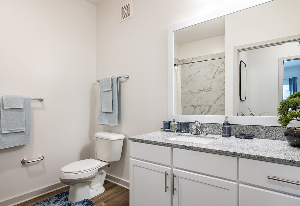 a bathroom with a mirror and a toilet and a sink