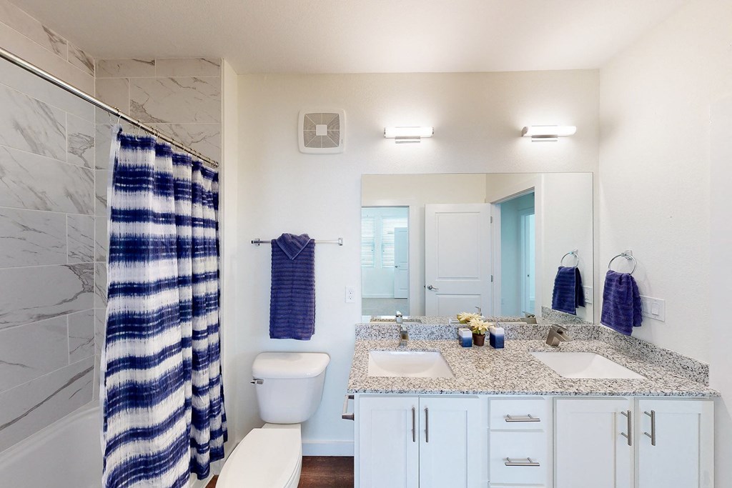 a bathroom with a shower toilet and sink and a mirror