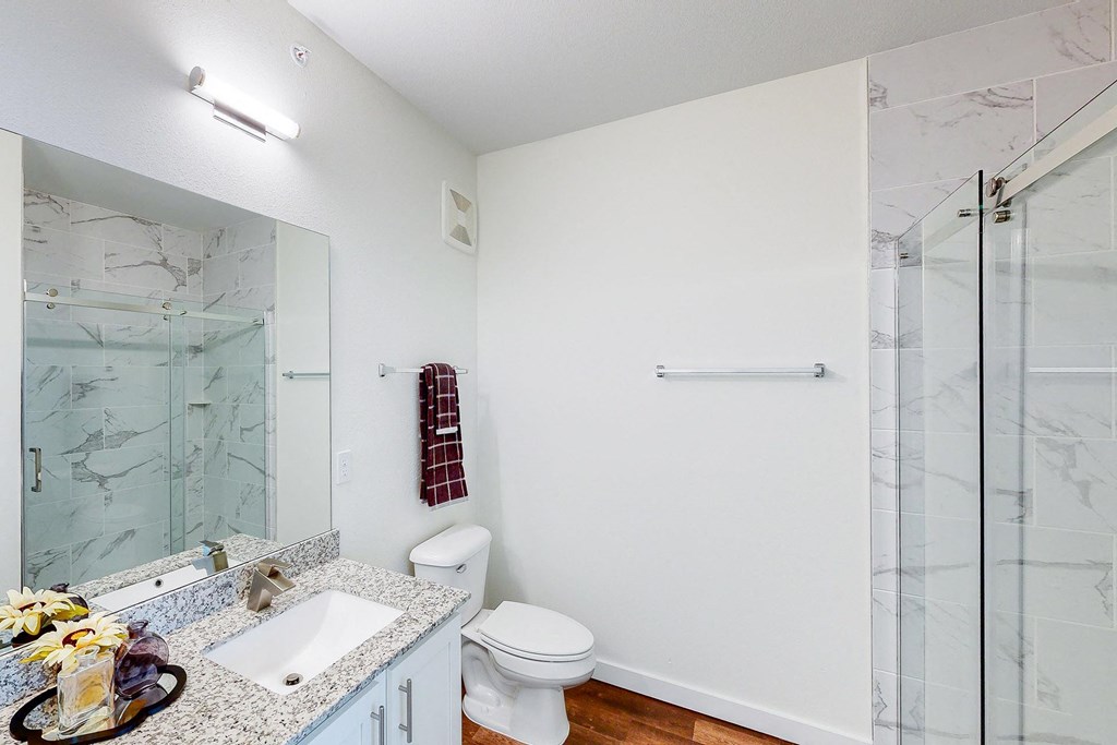 a bathroom with a shower and a sink and a toilet