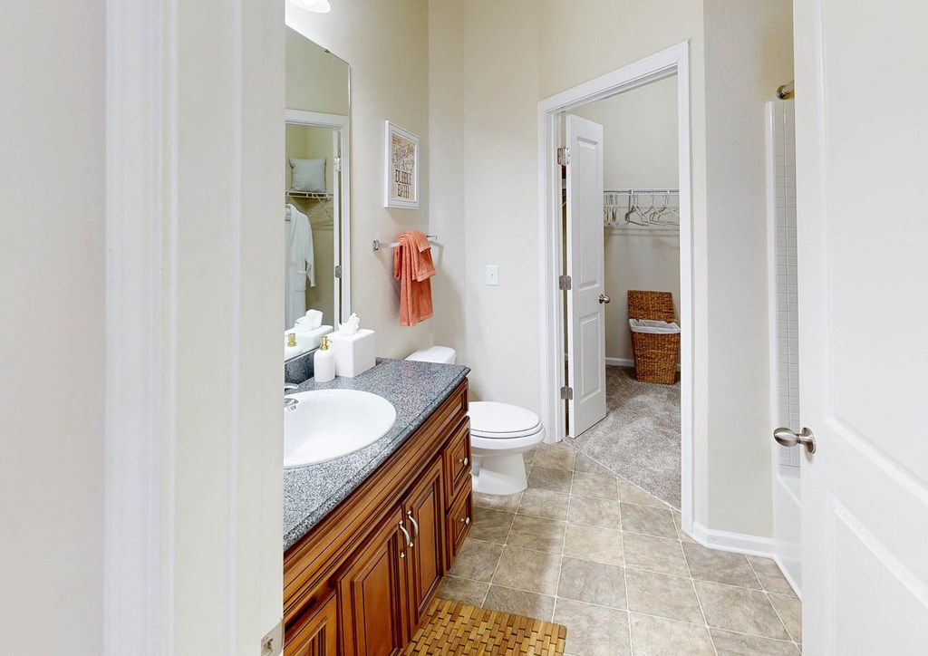 a bathroom with a sink and a toilet