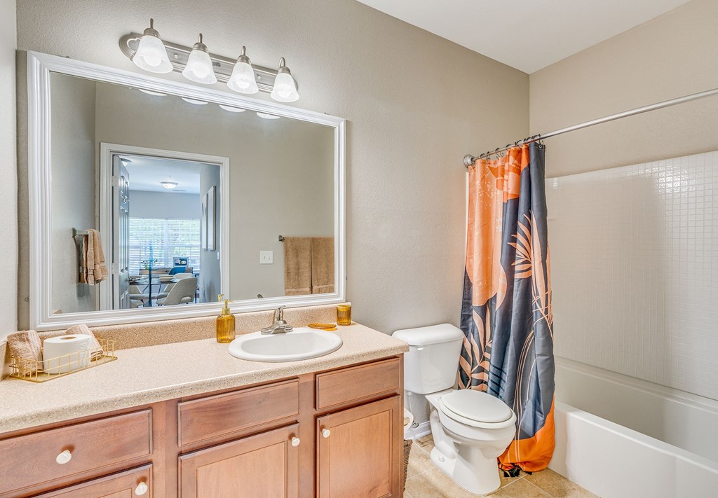 a bathroom with a shower toilet and sink and a mirror