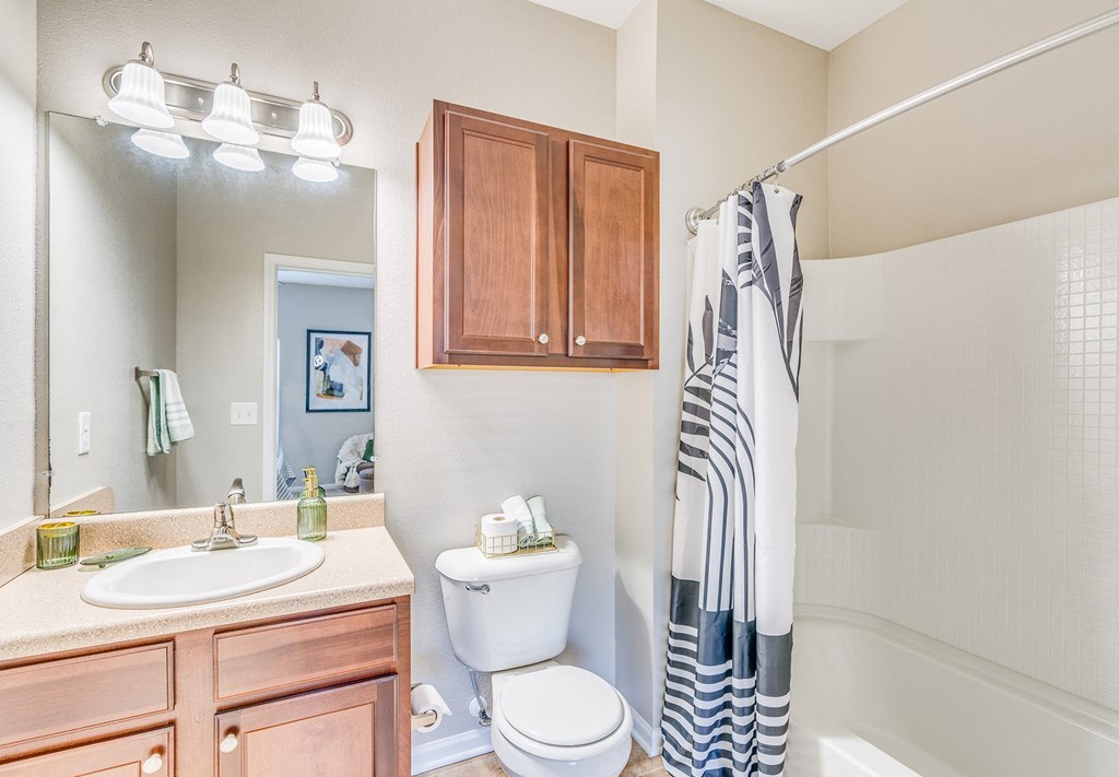 a bathroom with a shower toilet and sink and a mirror