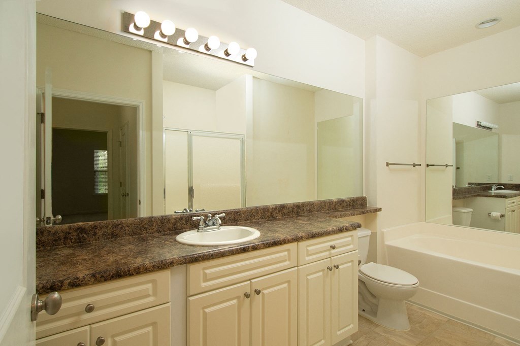 a bathroom with a sink and a toilet and a mirror