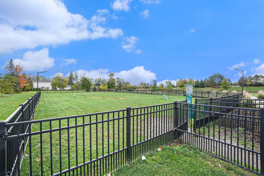 A black fence surrounds a green field.