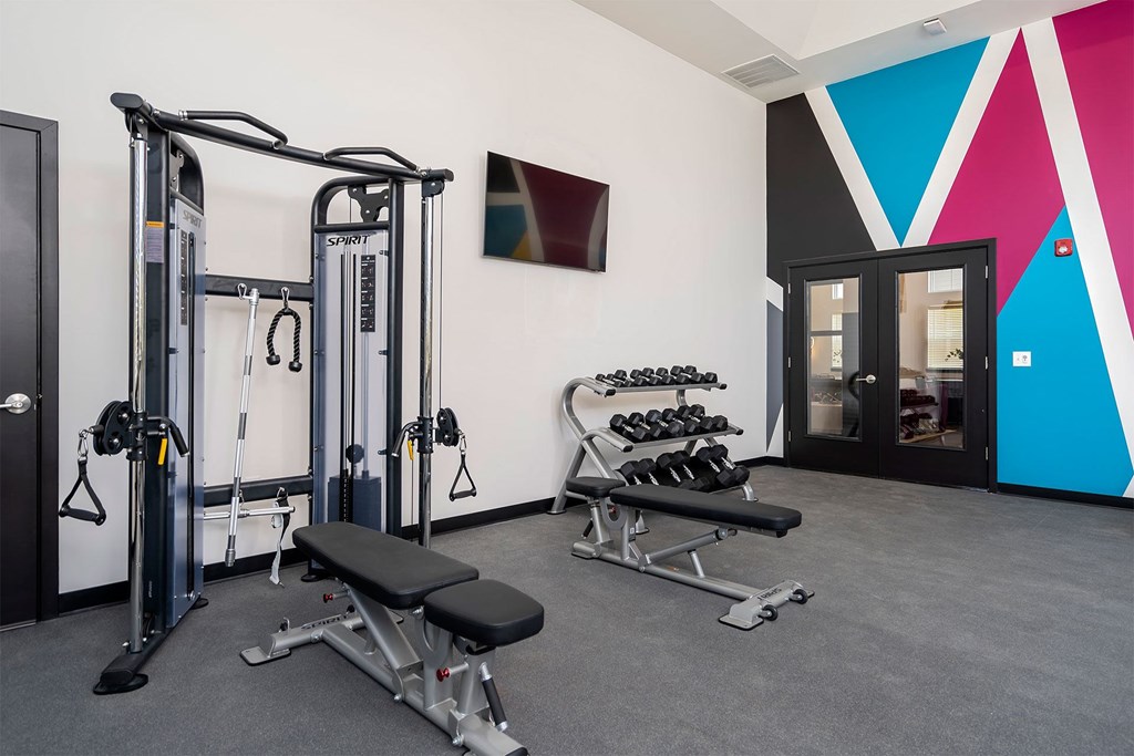 A gym with a variety of equipment including a squat rack, a leg press machine, and a bench with dumbbells.