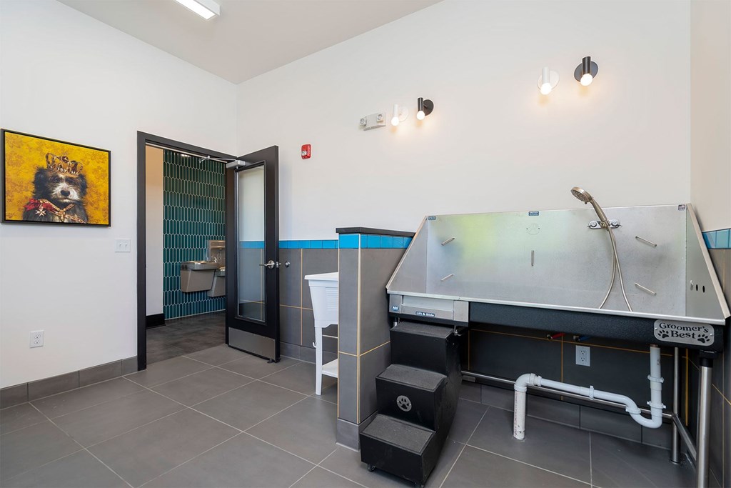 Luxury Apartments In Jeffersonville, IN With In-Unit Washer And Dryer - The Laurel - Pet Grooming Station With Modern Fixtures And Tiled Floors.