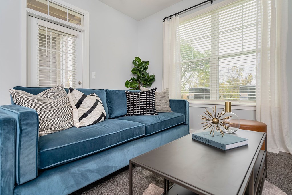 A blue velvet couch with a striped pillow and a green plant on a coffee table.