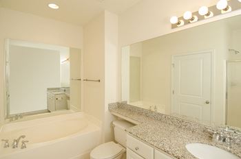 master bath with garden tub