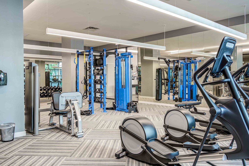 North Miami Beach, FL Luxury Apartments Near Sunny Isles Beach - Lazul - Fitness Center with Cardio Machines, Workout Benches, Free Weights, Strength Training Equipment, and Mirror Wall.