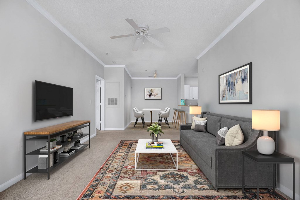 A living room with a grey couch, a coffee table, a television, and a rug.