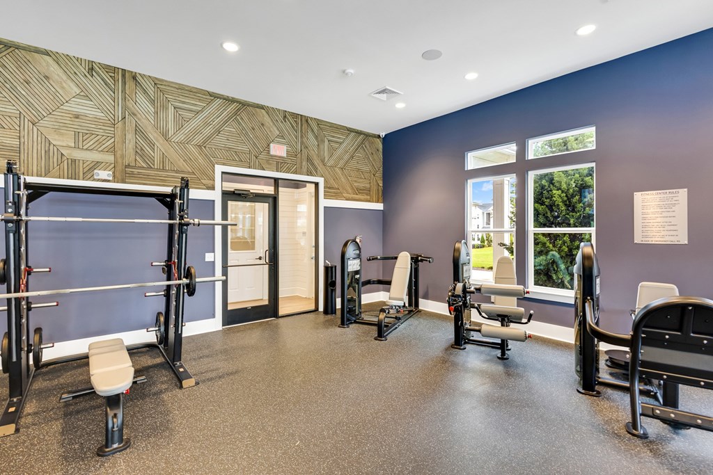 A gym with a variety of equipment including a squat rack, bench, and weights.