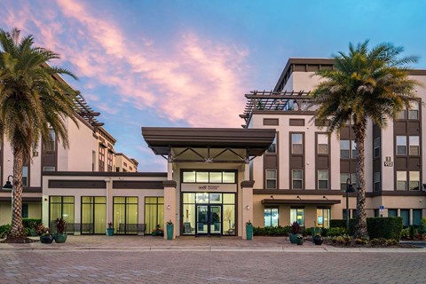 A building with a palm tree in front of it.