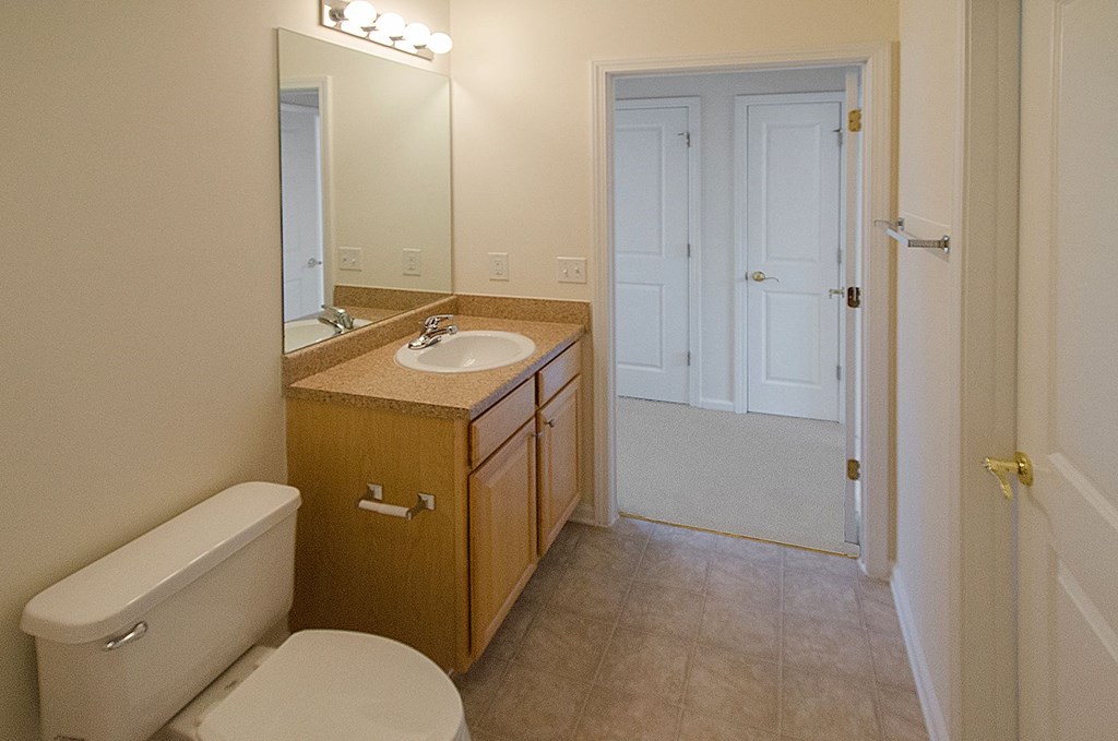 guest bathroom with vanity
